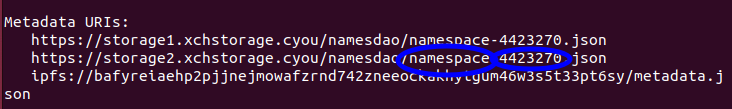 Name and Expiry in Metadata URI Highlighted